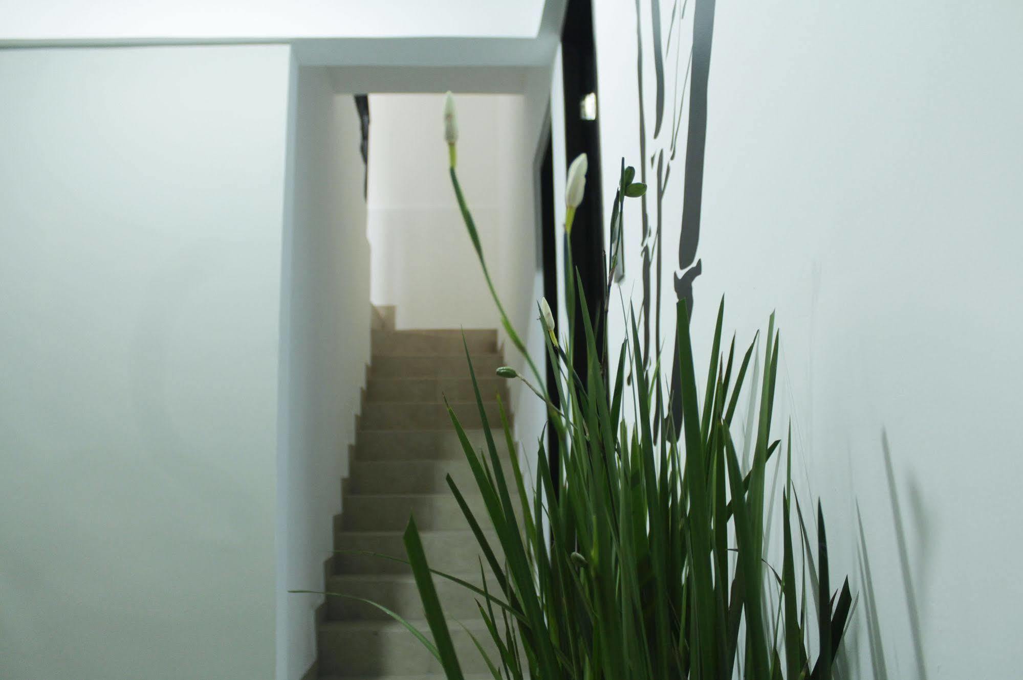 Hostal Be Condesa Mexico City Exterior photo